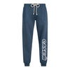 Case IH One Color Logo Womens Jogger